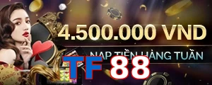 TF88