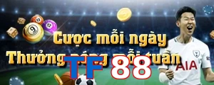 TF88
